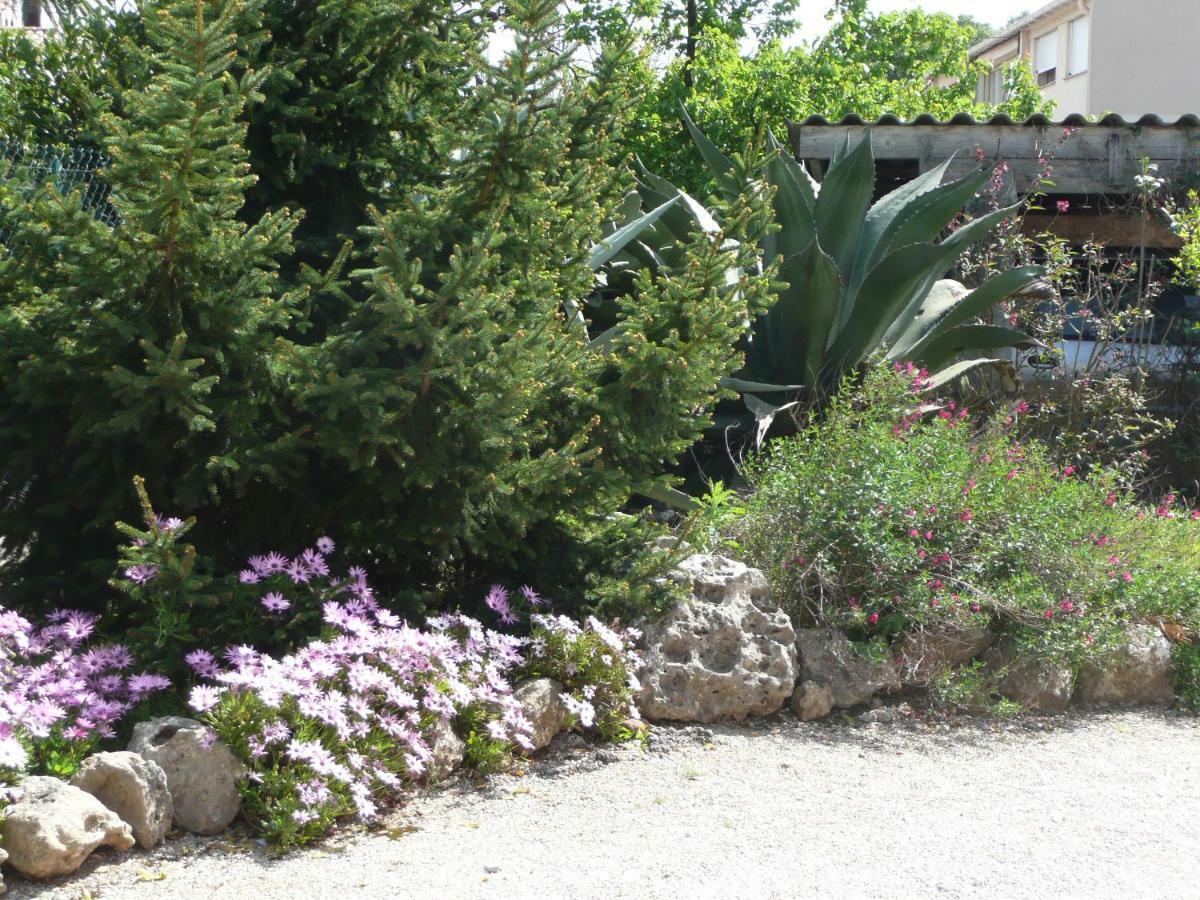 Villa "Les Cactees" Petite Residence De Tourisme Classee 3 Etoiles 昂蒂布 外观 照片